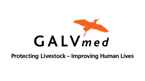 Galvmed-Logo